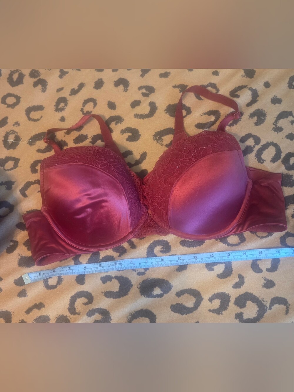 Torrid 42 B